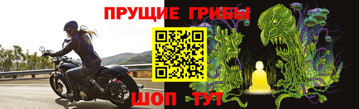 Псилоцибиновые грибы ЛСД Котовск