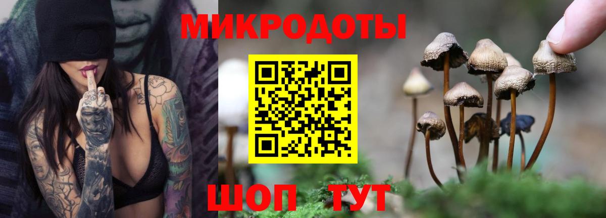 Галлюциногенные грибы мухоморы  Галлюциногенные грибы Psilocybine cubensis  Вход с VPN  Котовск 
